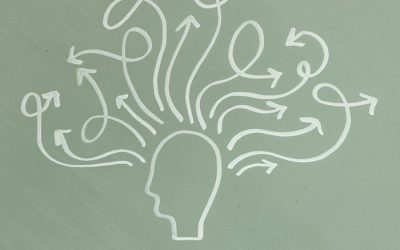 Stellenausschreibung Freiwilligenmanagement und Öffentlichkeitsarbeit